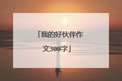 我的好伙伴作文300字
