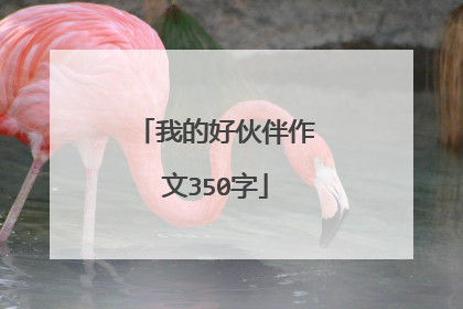 我的好伙伴作文350字