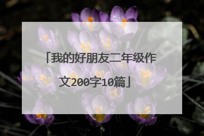 我的好朋友二年级作文200字10篇