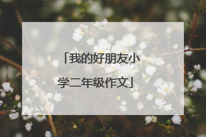 我的好朋友小学二年级作文