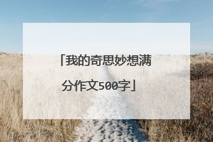 我的奇思妙想满分作文500字