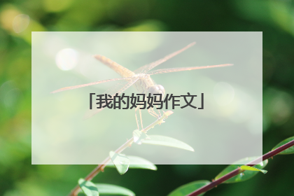 我的妈妈作文