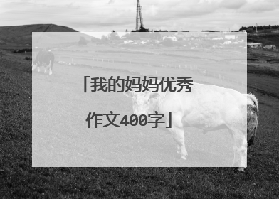 我的妈妈优秀作文400字