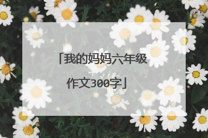 我的妈妈六年级作文300字
