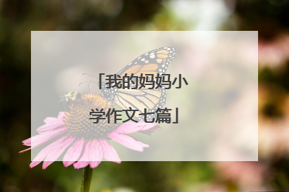 我的妈妈小学作文七篇