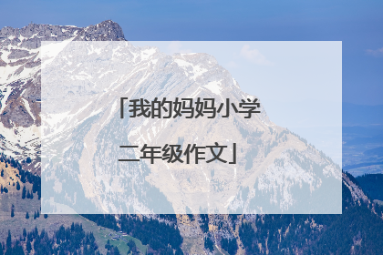 我的妈妈小学二年级作文