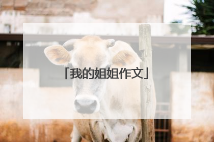 我的姐姐作文