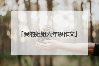 我的姐姐六年级作文