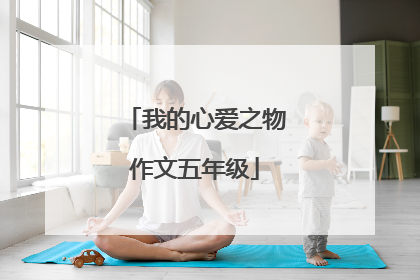 我的心爱之物作文五年级