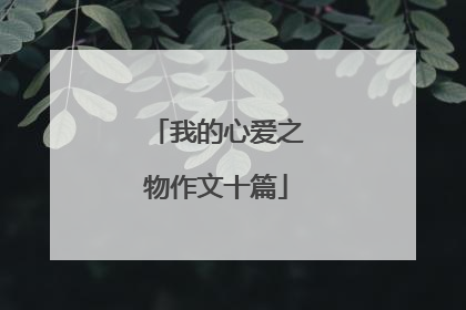 我的心爱之物作文十篇