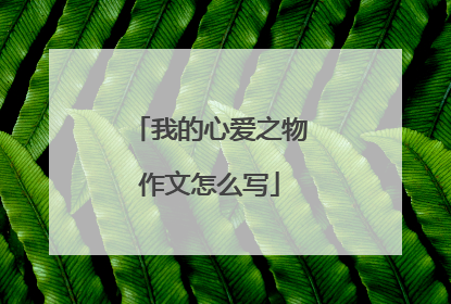 我的心爱之物作文怎么写