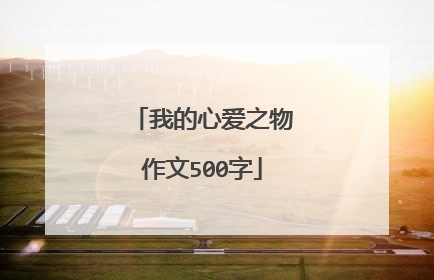 我的心爱之物作文500字