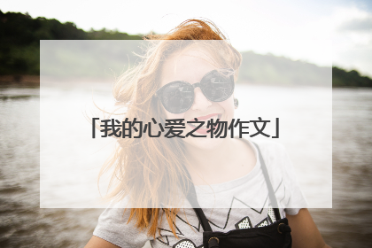 我的心爱之物作文