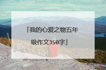 我的心爱之物五年级作文350字