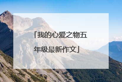 我的心爱之物五年级最新作文