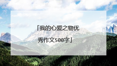 我的心爱之物优秀作文500字
