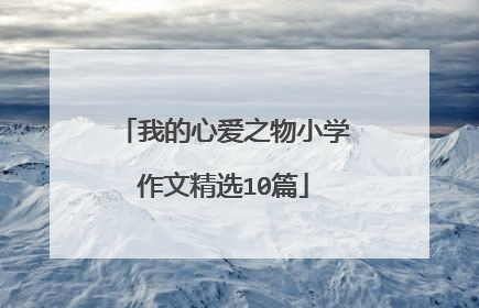 我的心爱之物小学作文精选10篇