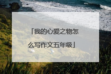 我的心爱之物怎么写作文五年级
