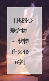 我的心爱之物 - 状物作文400字