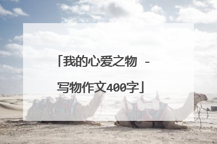 我的心爱之物 - 写物作文400字