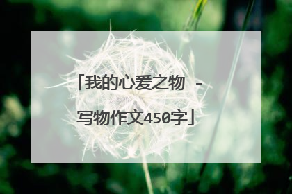 我的心爱之物 - 写物作文450字
