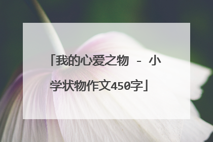 我的心爱之物 - 小学状物作文450字