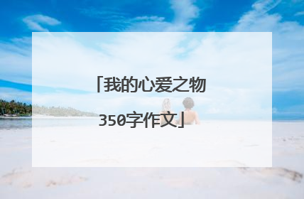 我的心爱之物350字作文