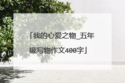 我的心爱之物_五年级写物作文400字