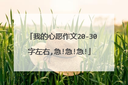 我的心愿作文20-30字左右,急!急!急!