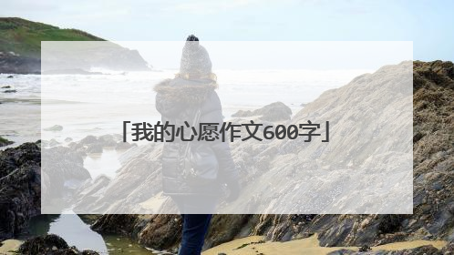 我的心愿作文600字