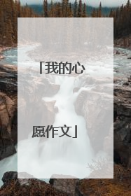 我的心愿作文