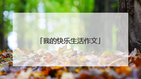 我的快乐生活作文