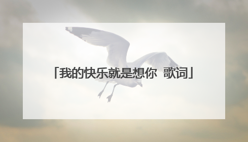 我的快乐就是想你 歌词