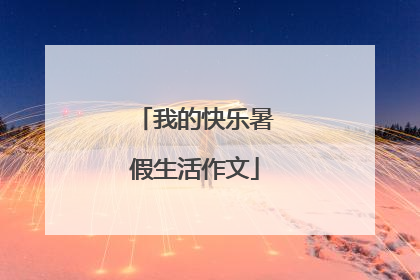 我的快乐暑假生活作文