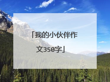 我的小伙伴作文350字