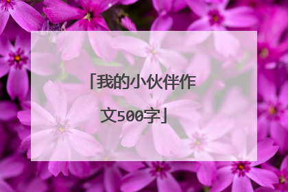 我的小伙伴作文500字