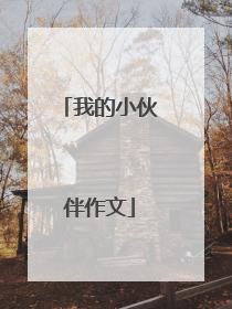 我的小伙伴作文