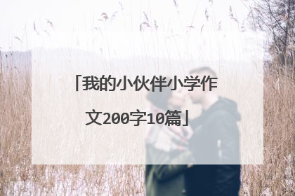 我的小伙伴小学作文200字10篇