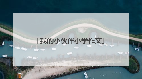 我的小伙伴小学作文
