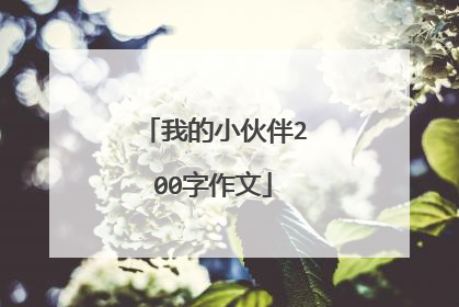 我的小伙伴200字作文