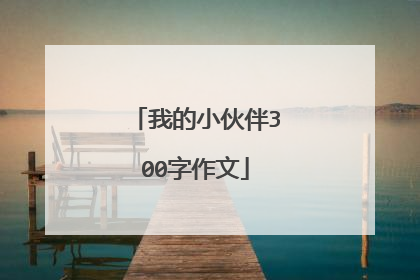 我的小伙伴300字作文