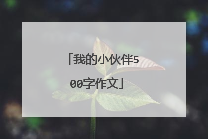 我的小伙伴500字作文