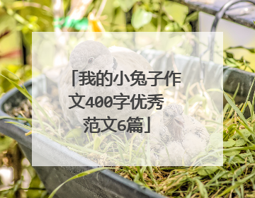 我的小兔子作文400字优秀范文6篇