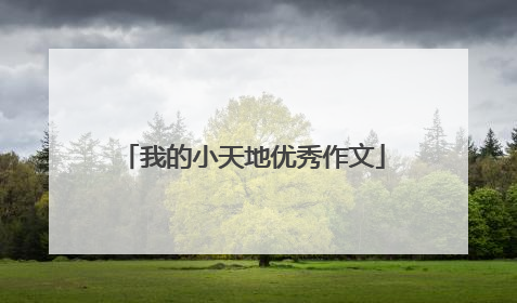 我的小天地优秀作文