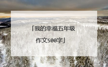 我的幸福五年级作文500字