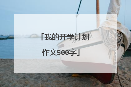 我的开学计划作文500字