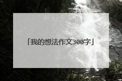 我的想法作文300字