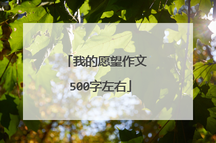 我的愿望作文500字左右
