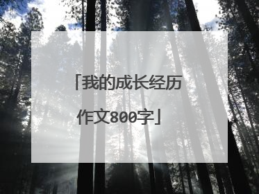我的成长经历作文800字