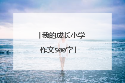 我的成长小学作文500字